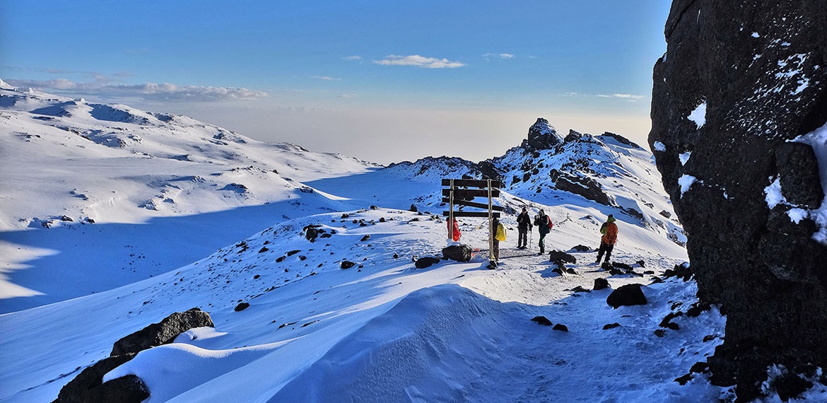 10 Days Kilimanjaro Climb VIA SHIRA/LEMOSHO Route